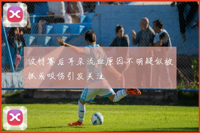波特赛后耳朵流血原因不明疑似被抓或咬伤引发关注